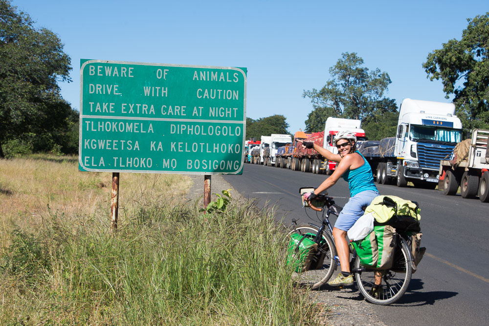 Cycling Botswana Chobe-4823