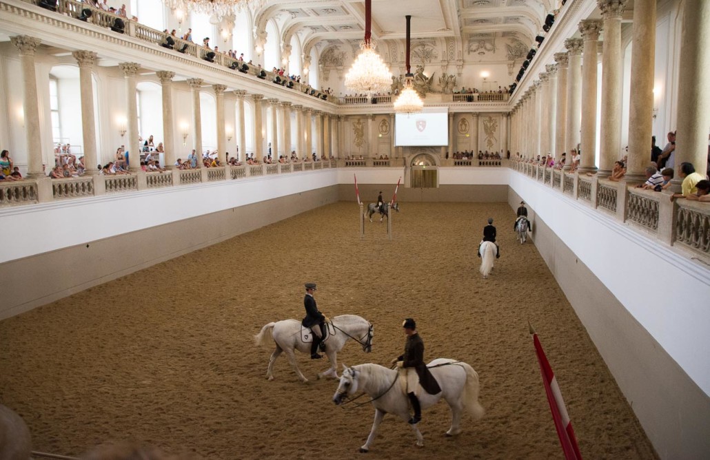 The Spanish Riding School in Vienna. Don't bother paying to watch the 'practice'!