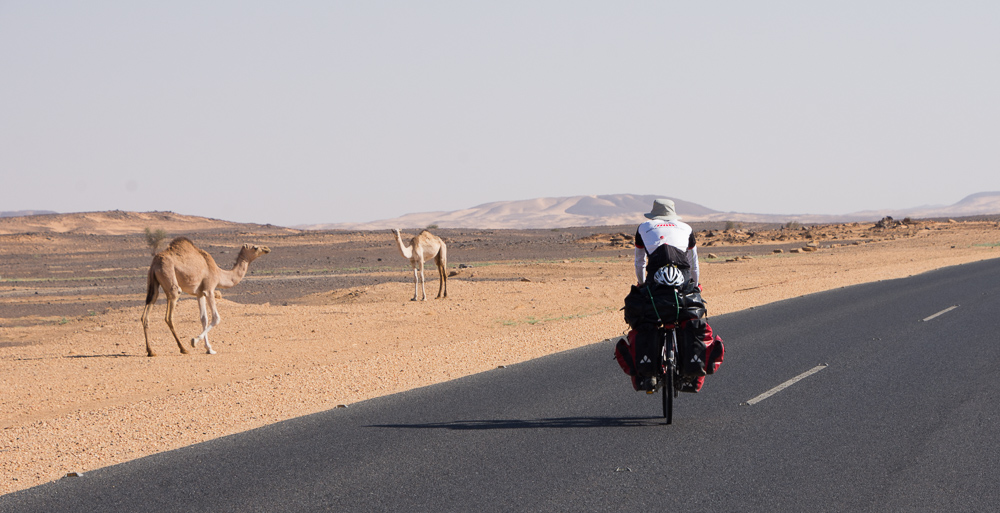 Humps on the road in the Bayuda Desert