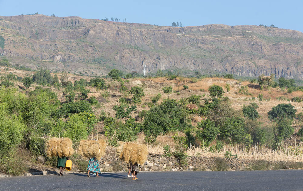 Haystacks being carried up the Blue Nile Gorge