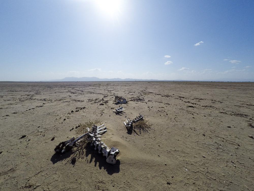 Skeletons in the no-mans-land between Ethopia, Kenya and Sudan