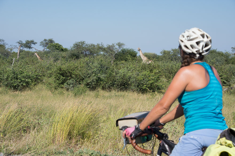 Cycling Botswana-4848