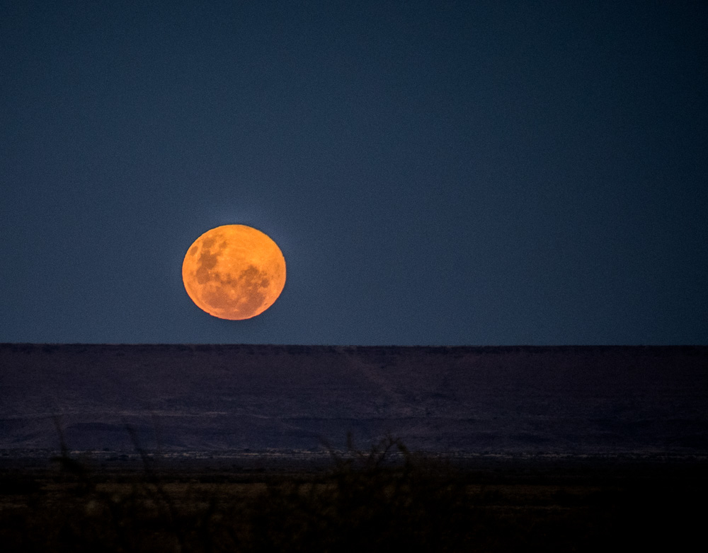 And we've been lucky enough to see some spectacular moonrises!
